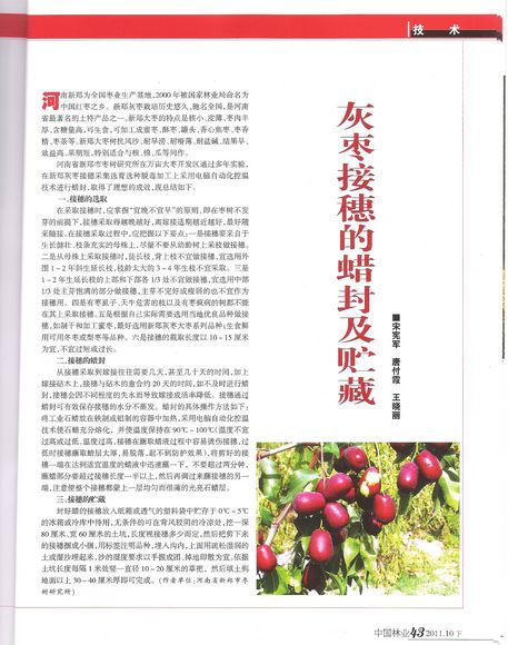 中国林业发表论文