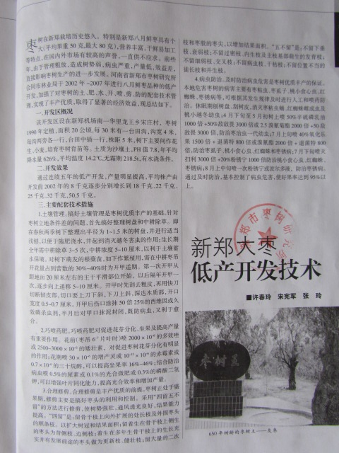 2002年中国林业上发表