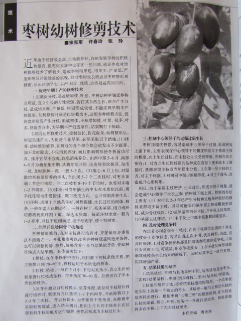 -2007年中国林业上发表